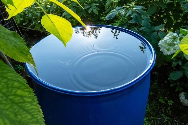 bain de purification